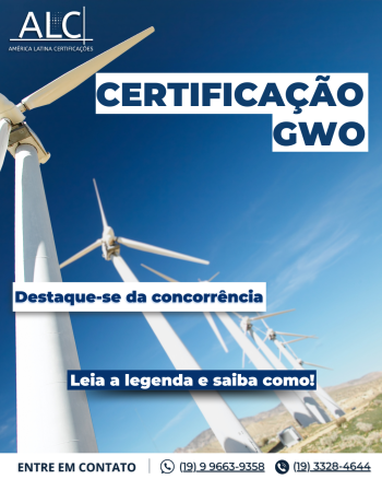 GWO: Padrões Globais de Treinamento